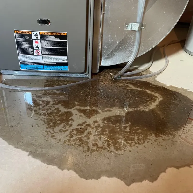 Appliance Leak Cleanup in Flomaton, AL